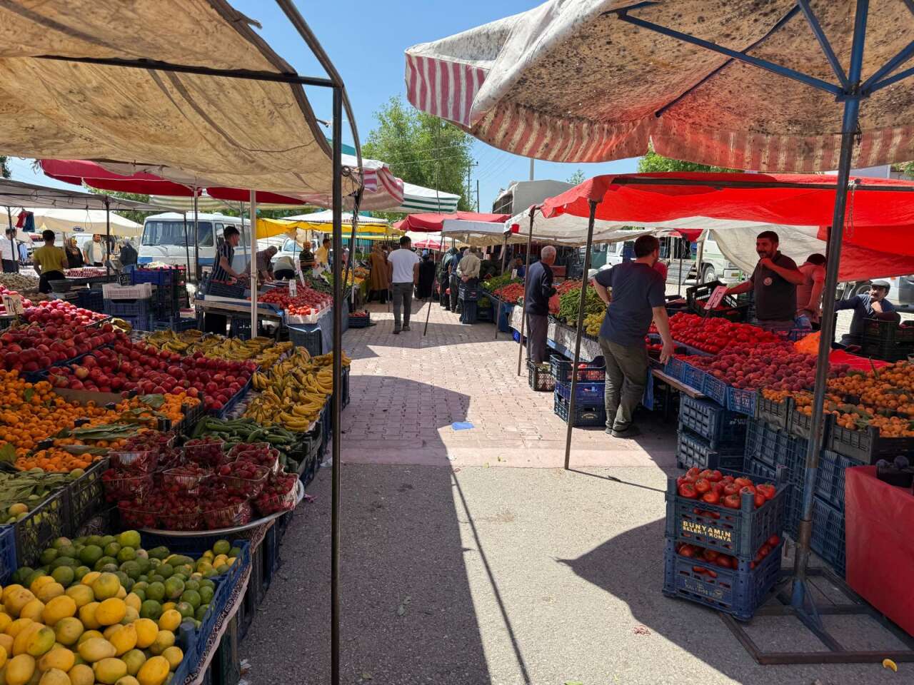 Konya’nın pazarlarında yaz bereketi! Tezgahlar renklendi, fiyatlar dikkat çekti 22